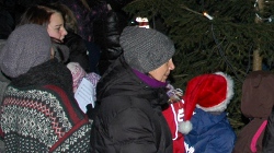 Julegrana tent