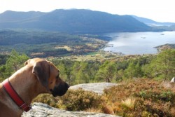 Eikefjord ettersøksring
