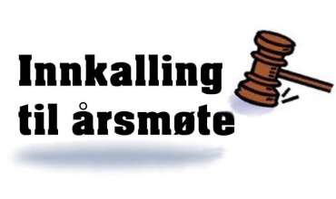 Årsmøtesaker