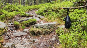 Natursvin med skitposar