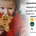 Juletrefest på Allhuset